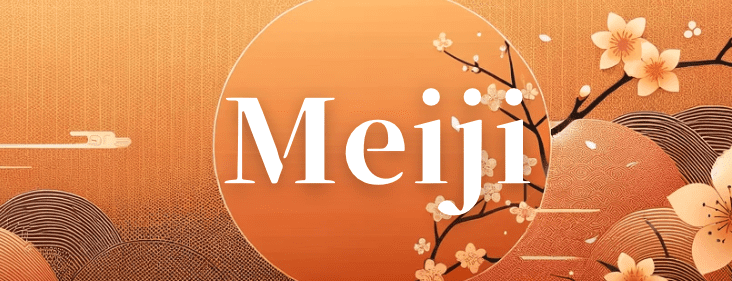 Best Japanese Meiji Snacks